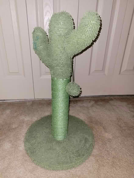 Photo of free small cactus scratching post (near lowell general maincampus) #1