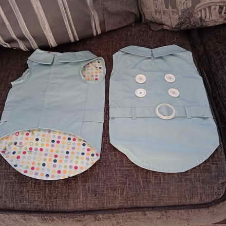 Photo of free Dog coats (CF83 1BR- Caerphilly) #1