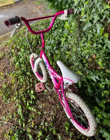 Photo of free Kid bicycle (CB1) #3