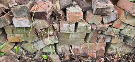 Photo of free Used bricks (Twickenham TW1) #1