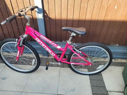Photo of free Bicycle Ammaco 12in (South harrow HA2) #2