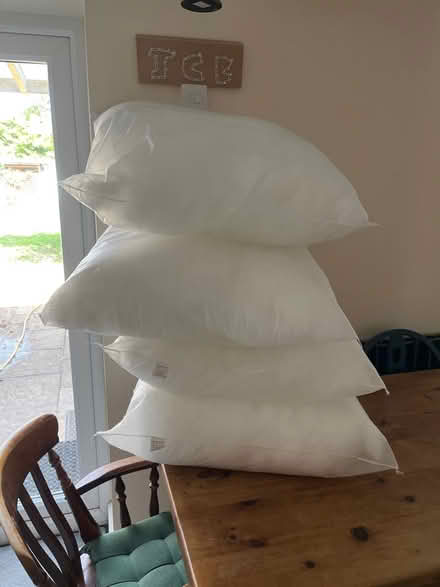 Photo of free Large cushion inserts (Merton OX25) #1