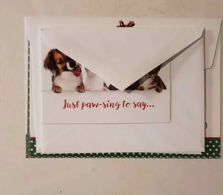 Photo of free Puppy cards (Kirkwood) #1