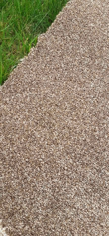 Photo of free Carpet Offcut (New Tupton S42) #1