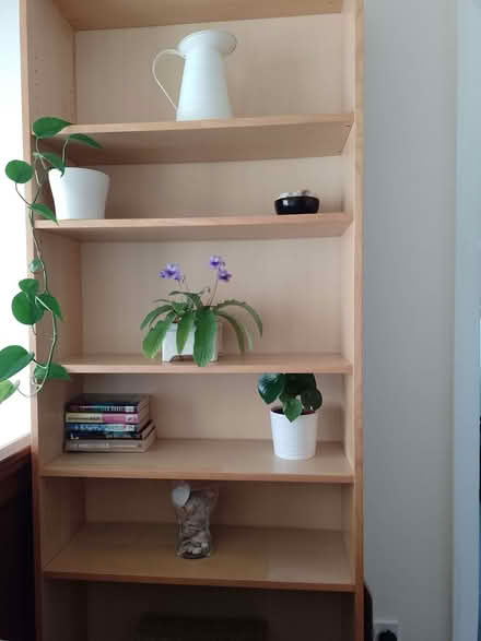 Photo of free IKEA Billy Bookcase/Shelving Unit (Bents Green S11) #3