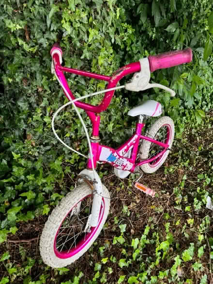 Photo of free Kid bicycle (CB1) #2