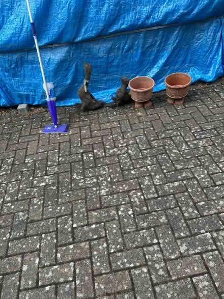 Photo of free Garden/house stuff stuff (OX4 4UE) #3