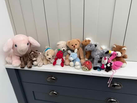 Photo of free Collection of soft toys (Marshalswick AL1) #1