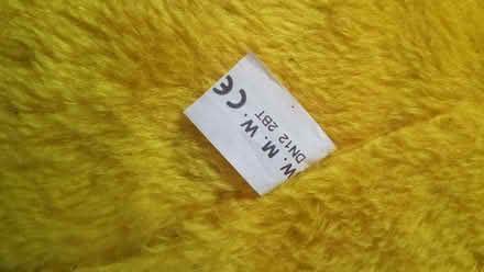 Photo of free Big Yellow Bear (Seaside BN22) #2