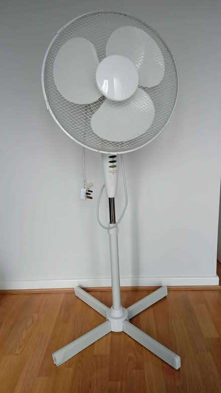 Photo of free Tall fan (Garden City OX5) #1