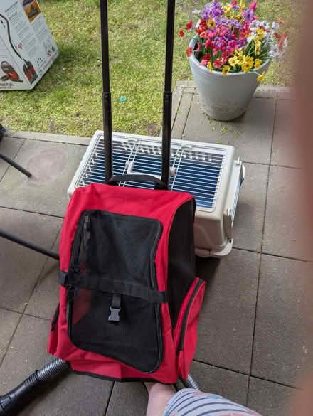 Photo of free Cat carrier's (Dereham Rd area NR2) #2