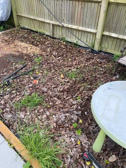 Photo of free Woodchip (Church RG2) #2