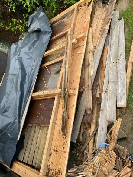 Photo of free Old shed wood (Far cotton, NN4) #3