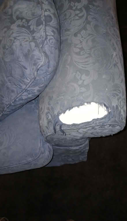 Photo of free Sofa Bed (Birkby HD2) #2