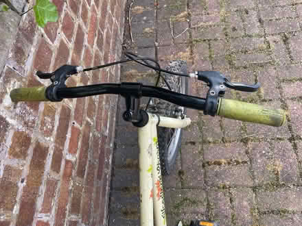 Photo of free Woodland Charm Bike (Aston, Nantwich, CW5) #3