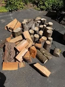 Photo of free fir and maple (Cottage Lake) #1