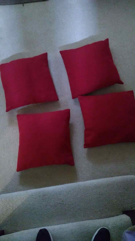 Photo of free Cushions (Coates GL7) #1