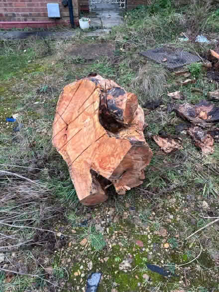 Photo of free Large tree trunk (Denham UB9) #1