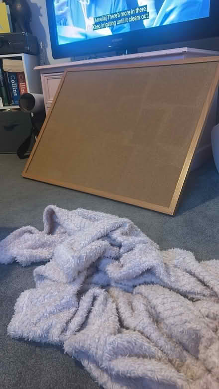 Photo of free Cork board (Hulme M15) #1