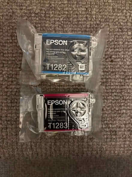 Photo of free Epson printer cartridges (E8) #1