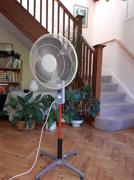 Photo of free Pedestal fan (Reigate RH2) #1