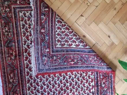Photo of free Persian rug (Reigate RH2) #4