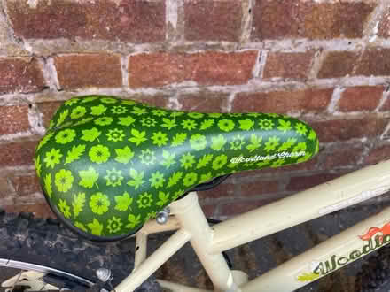 Photo of free Woodland Charm Bike (Aston, Nantwich, CW5) #4