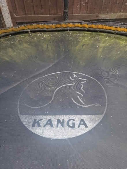 Photo of free 8ft Trampoline (Chertsey KT16) #3