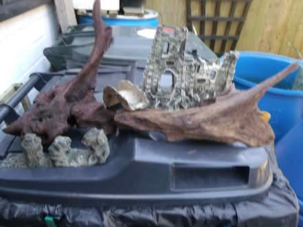 Photo of free Fish tank Plants / Pumps / + extra's. (Little Sutton CH66) #1