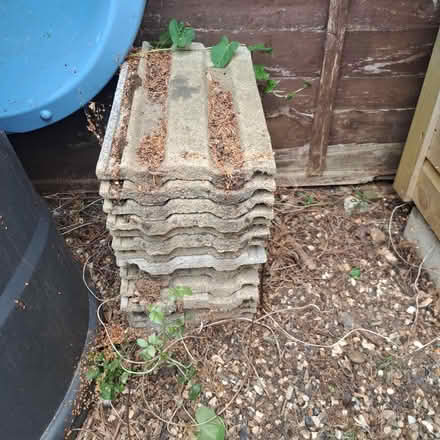 Photo of free Tiles (West kingsdown) #1