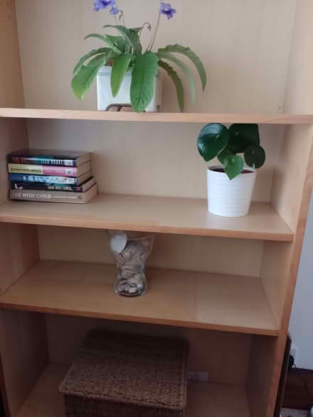 Photo of free IKEA Billy Bookcase/Shelving Unit (Bents Green S11) #1