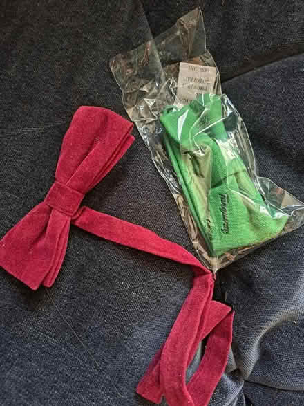 Photo of free Bow ties (CF24) #1