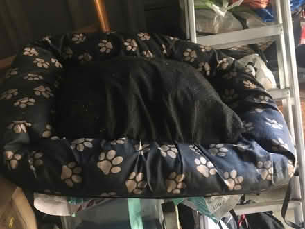 Photo of free Small to Medium Size Dog Bed (Lexden CO3) #1