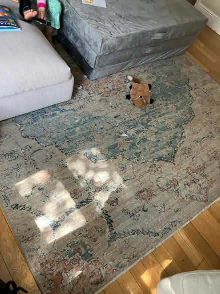 Photo of free Living room mat (London) #1