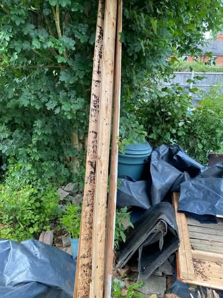 Photo of free Old shed wood (Far cotton, NN4) #2