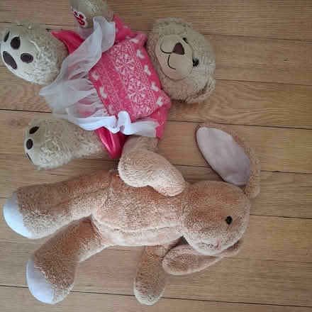 Photo of free 2 build a bears (Hallam Fields, Ilkeston) #1