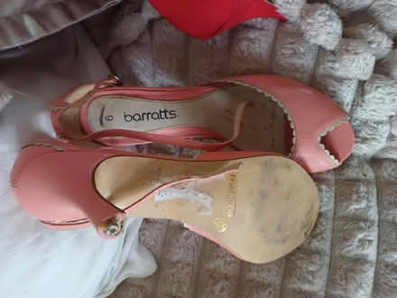 Photo of free Ladies Shoes size 6 (Malvern Link WR14) #1
