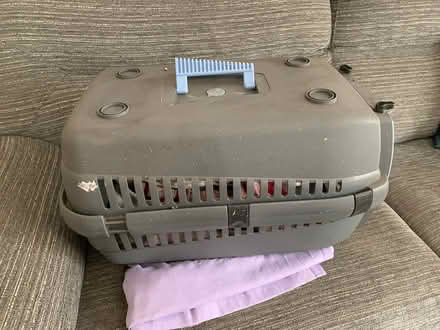 Photo of free Large pet carrier (Luton LU1) #1
