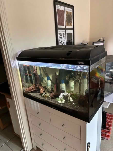 Photo of free Fish tanks and accessories (Crowthorne RG45) #1