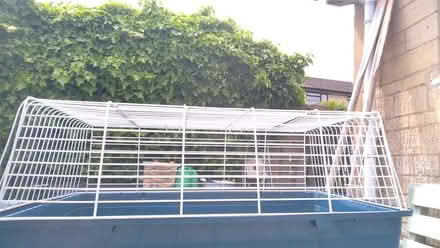 Photo of free Indoor pet hutch/cage (Middleyard GL10) #1