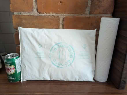 Photo of free Large ice pack (Chinatown / Little Italy) #1