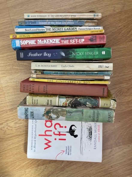 Photo of free Bundle of kids’ books (Ramslye TN4) #1