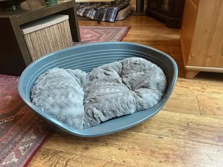 Photo of free Dog Bed & Cushion (Belmont SL6) #1