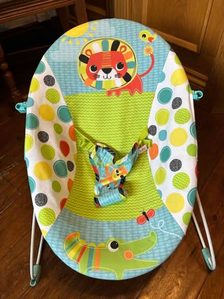 Photo of free Baby bouncer (Norton Lees S8) #2