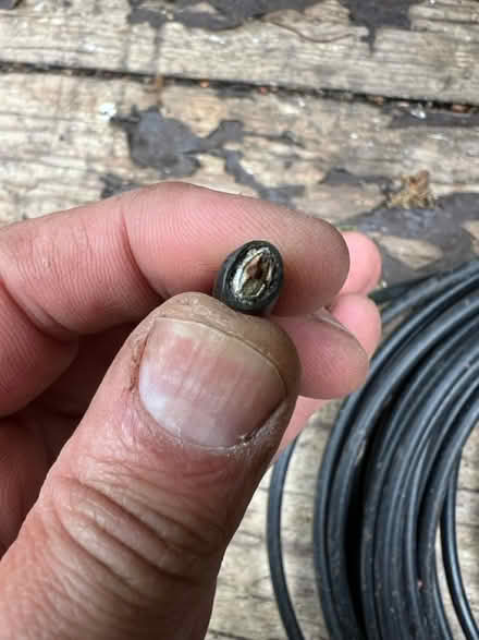 Photo of free coaxial cable (RG4) #2
