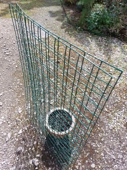 Photo of free 2 supports for climbing plants (Hale Village L24.) #1