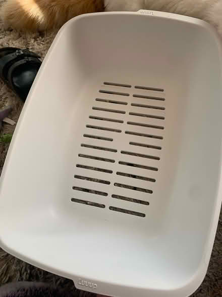 Photo of free Girls bike (Burbank Glendale N Hollywood) #1