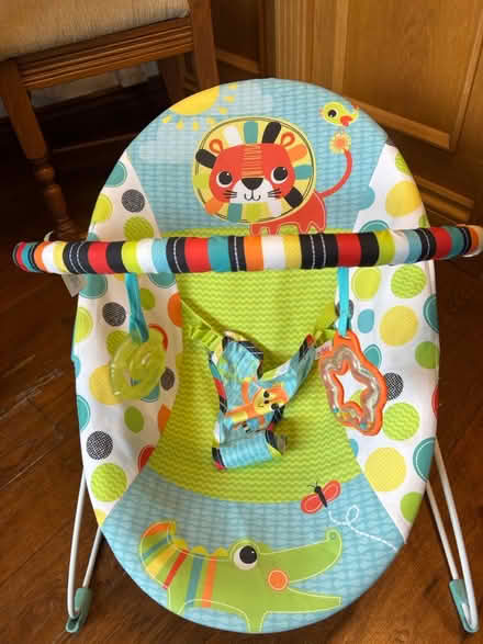 Photo of free Baby bouncer (Norton Lees S8) #1