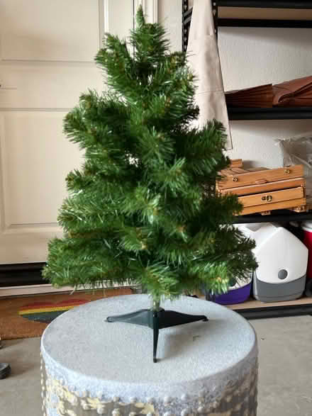 Photo of free Mini Christmas Tree (Brentwood, Trilogy) #1