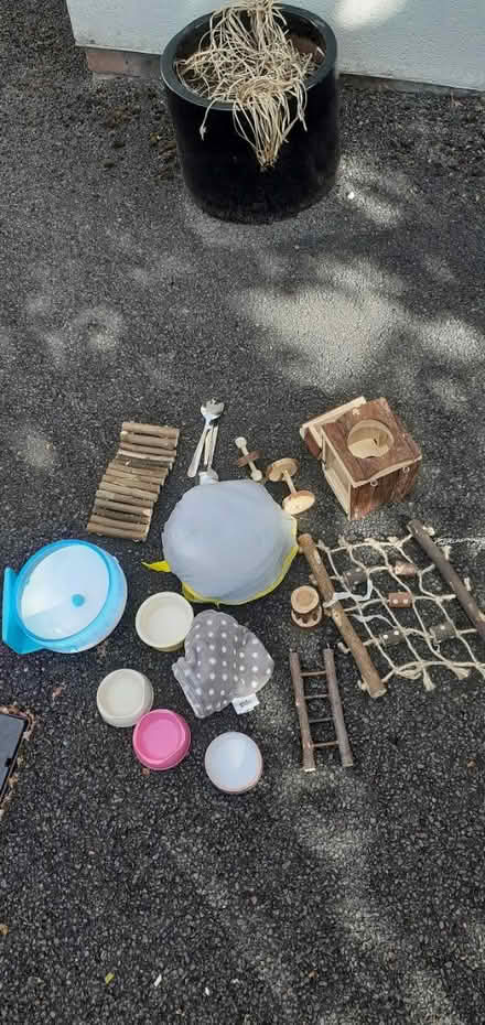Photo of free Hamster Wheel, pen and toys (WA5) #1